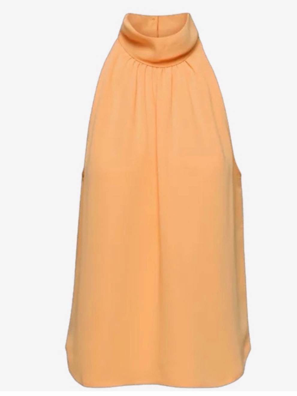 Aritzia Babaton Halter Blouse